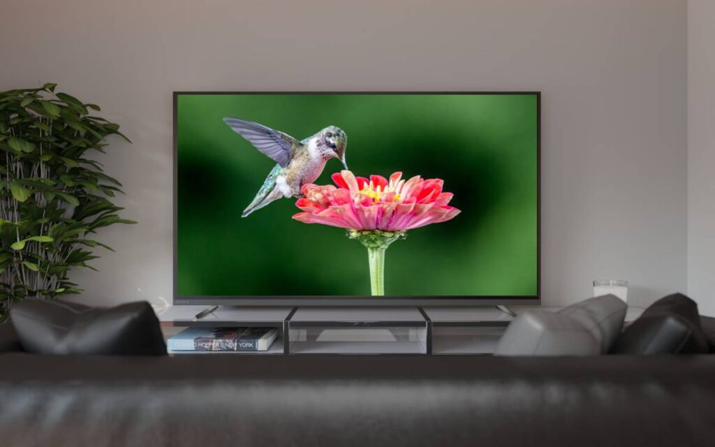 LG Gallery TV Features and Specifications