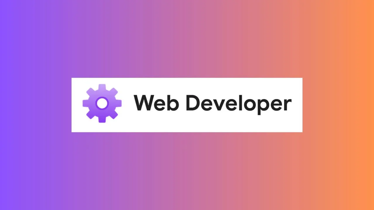 Web Developer Extension