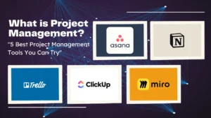 What is Project Management